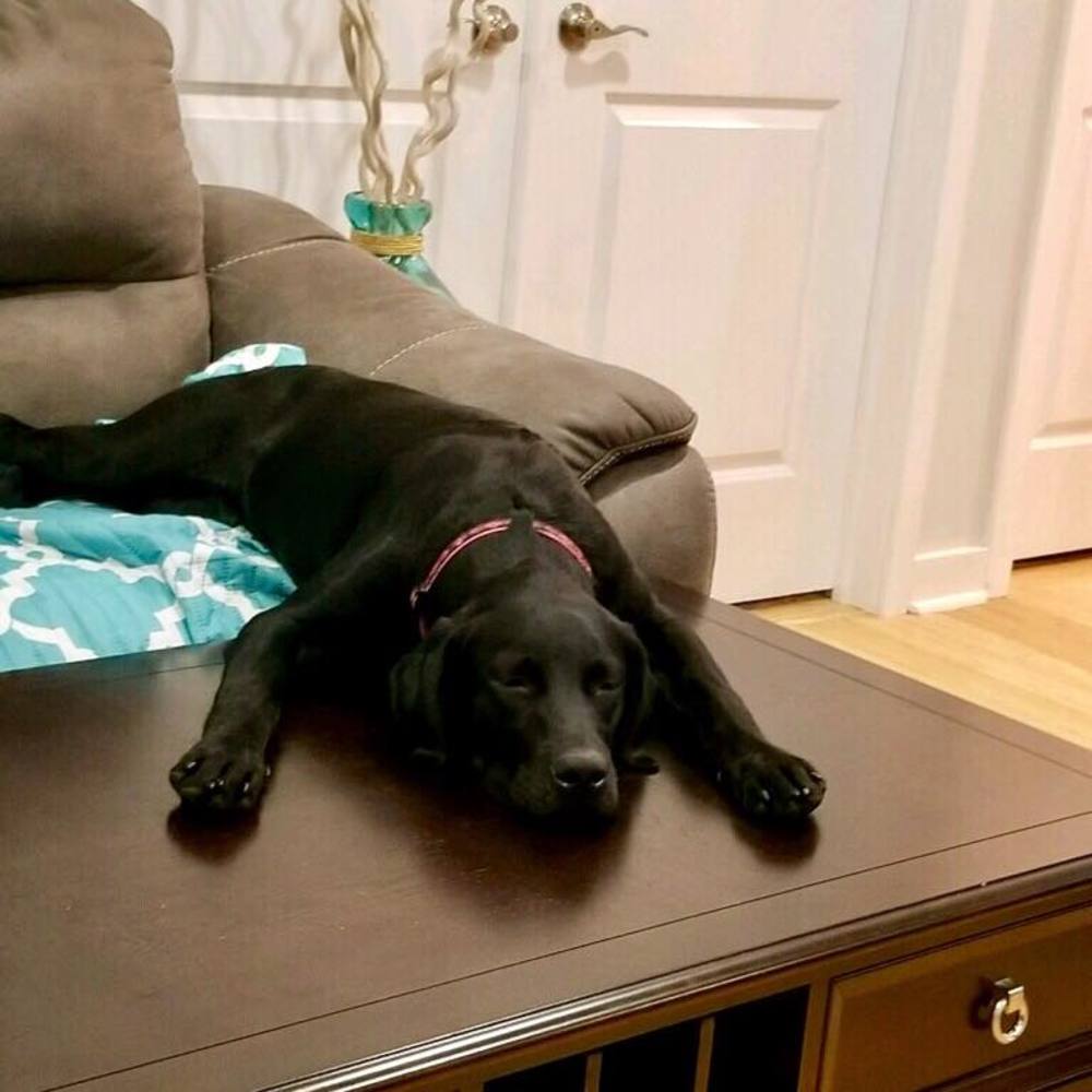 Meet your Posher, Marina